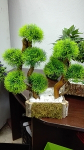 BONSAI 10 veštačko drveće