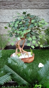 BONSAI 15 veštačko drveće