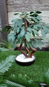 BONSAI 16 veštačko drveće