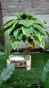 BONSAI 17 veštačko drveće