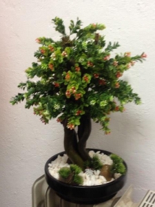 BONSAI 2 veštačko drveće