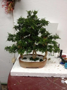 BONSAI 6 veštačko drveće