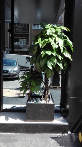 Galerija 13