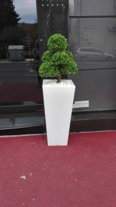 Galerija 15