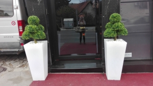 Galerija 16 Veštačko drveće, veštačko cveće, bonsai