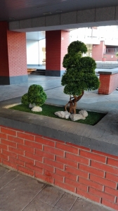 Galerija 17 Veštačko drveće, veštačko cveće, bonsai