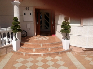 Galerija 2 Veštačko drveće, veštačko cveće, bonsai