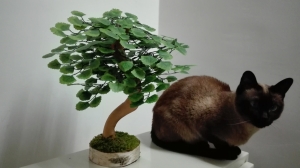 Galerija 21 Veštačko drveće, veštačko cveće, bonsai