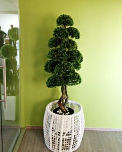 Galerija 23 Veštačko drveće, veštačko cveće, bonsai