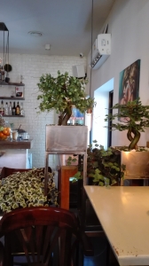 Galerija 24 Veštačko drveće, veštačko cveće, bonsai