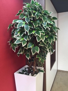 Galerija 29 Veštačko drveće, veštačko cveće, bonsai