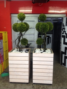 Galerija 3 Veštačko drveće, veštačko cveće, bonsai