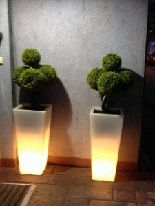 Galerija 31 Veštačko drveće, veštačko cveće, bonsai