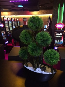 Galerija 32 Veštačko drveće, veštačko cveće, bonsai