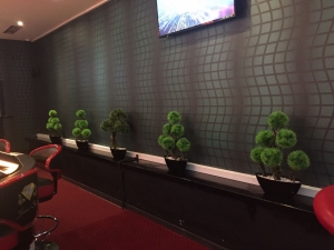 Galerija 33 Veštačko drveće, veštačko cveće, bonsai