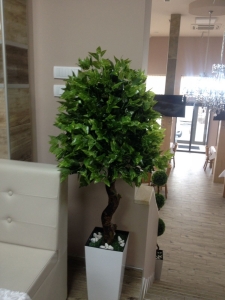 Galerija 37 Veštačko drveće, veštačko cveće, bonsai