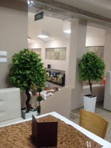 Galerija 38 Veštačko drveće, veštačko cveće, bonsai