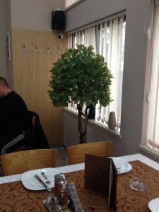 Galerija 41 Veštačko drveće, veštačko cveće, bonsai