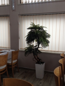 Galerija 42 Veštačko drveće, veštačko cveće, bonsai