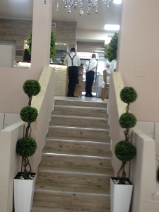 Galerija 43 Veštačko drveće, veštačko cveće, bonsai