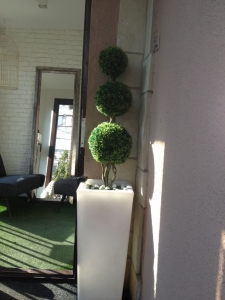Galerija 44 Veštačko drveće, veštačko cveće, bonsai