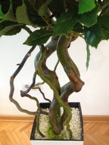 Galerija 51 Veštačko drveće, veštačko cveće, bonsai