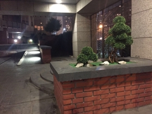 Galerija 54 Veštačko drveće, veštačko cveće, bonsai