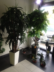 Galerija 59 Veštačko drveće, veštačko cveće, bonsai