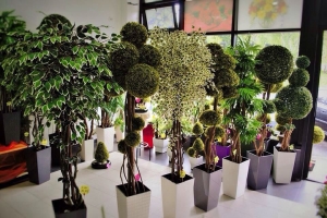 Galerija 60 Veštačko drveće, veštačko cveće, bonsai