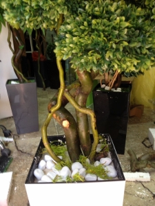 Galerija 61 Veštačko drveće, veštačko cveće, bonsai