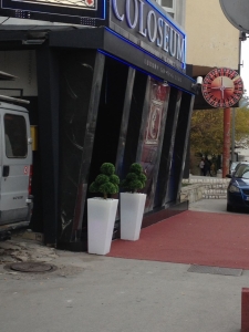 Galerija 64 Veštačko drveće, veštačko cveće, bonsai