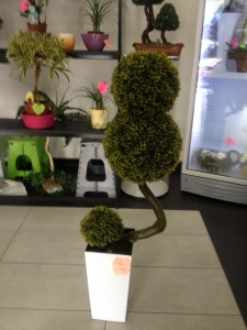 Galerija 68 Veštačko drveće, veštačko cveće, bonsai