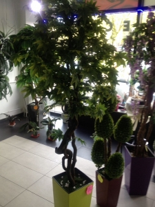 Galerija 69 Veštačko drveće, veštačko cveće, bonsai