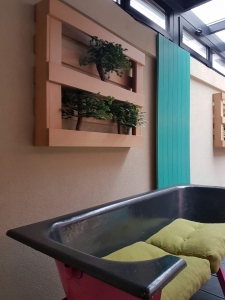 Galerija 7 Veštačko drveće, veštačko cveće, bonsai