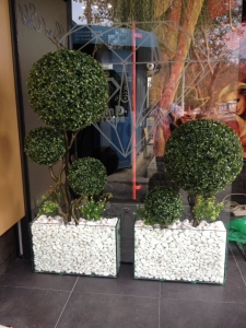 Galerija 73 Veštačko drveće, veštačko cveće, bonsai