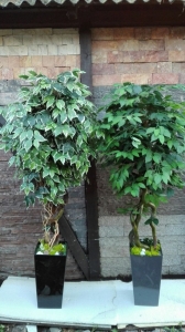 Galerija 76 Veštačko drveće, veštačko cveće, bonsai