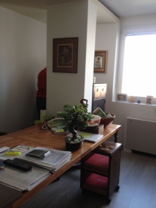 Galerija 77 Veštačko drveće, veštačko cveće, bonsai