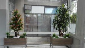 Galerija 79 Veštačko drveće, veštačko cveće, bonsai