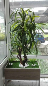 Galerija 81 Veštačko drveće, veštačko cveće, bonsai