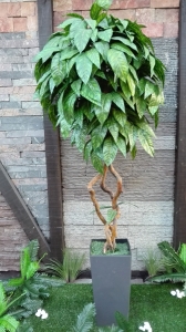 TAMNO ZELENI MANGO - lisnato drveće i veštačko cveće