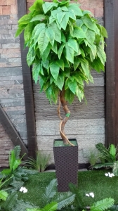 ZELENI MANGO - lisnato drveće i veštačko cveće