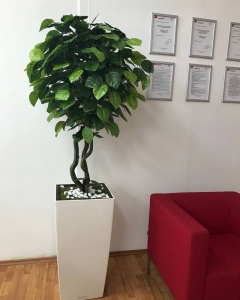 Veštačko drveće galerija drvo 9